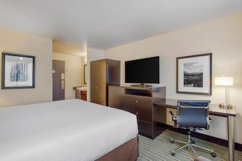 Standard Room, 1 King Bed, Non Smoking