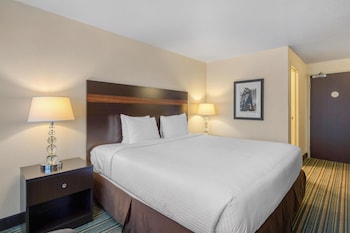 Standard Room, 1 King Bed, Non Smoking