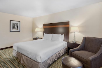 Standard Room, 1 King Bed, Accessible, Non Smoking