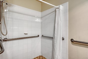 Standard Room, 1 King Bed, Accessible, Non Smoking