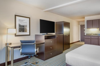 Standard Room, 1 King Bed, Accessible, Non Smoking (Larger Room)