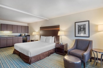 Standard Room, 1 King Bed, Accessible, Non Smoking (Larger Room)