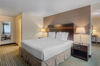 Suite, 1 King Bed, Non Smoking (Living Room;with Sofabed)
