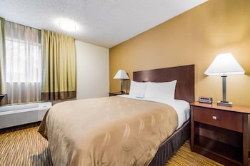 Standard Room, 1 Queen Bed, Non Smoking (Pet Friendly)