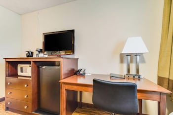 Standard Room, 1 Queen Bed, Non Smoking (Pet Friendly)