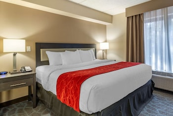 Standard Room, 1 King Bed with Sofa bed, Non Smoking
