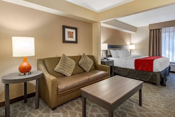 Standard Room, 1 King Bed with Sofa bed, Non Smoking