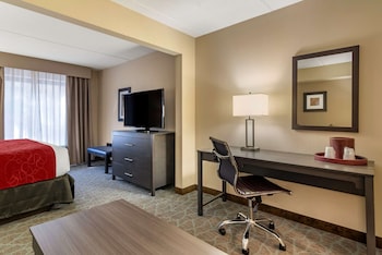Standard Room, 1 King Bed with Sofa bed, Non Smoking