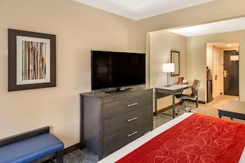 Standard Room, 1 King Bed with Sofa bed, Non Smoking