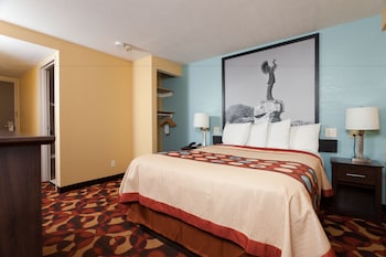 Room, 1 King Bed, Non Smoking