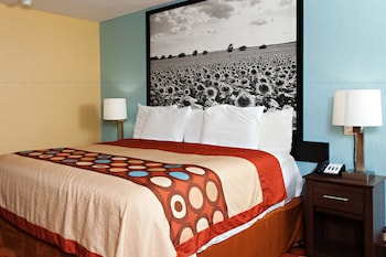 Room, 1 King Bed, Non Smoking