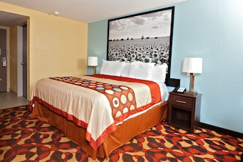 Room, 1 King Bed, Non Smoking (Pet-friendly, 2nd Floor)
