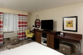 Room, 1 King Bed