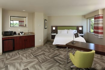 Studio Suite, 1 King Bed, River View