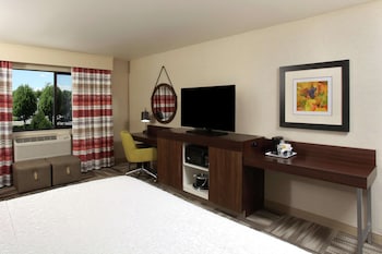Room, 1 King Bed, Accessible (Mobility & Hearing, Roll-in Shower)