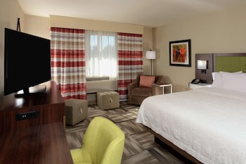 Room, 1 King Bed, Accessible, Non Smoking