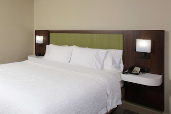 Studio Suite, 1 King Bed, River View