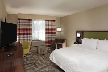 Room, 1 King Bed