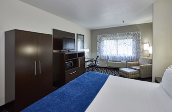 Standard Room, 1 King Bed, Accessible (Mobility, Roll-In Shower)