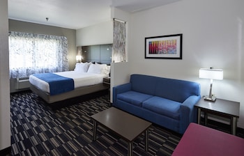Standard Room, 1 King Bed with Sofa bed