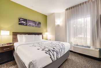 Standard Room, 1 King Bed, Non Smoking