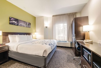 Standard Room, 1 King Bed, Non Smoking