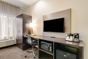 Room, 1 King Bed, Accessible, Non Smoking