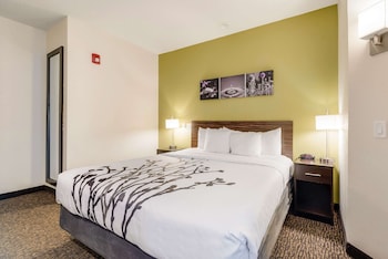 Room, 1 King Bed, Accessible, Non Smoking