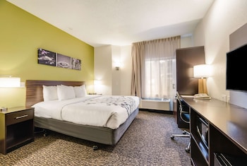 Room, 1 King Bed, Accessible, Non Smoking