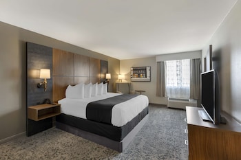 Suite, 1 King Bed, Non Smoking, Refrigerator & Microwave