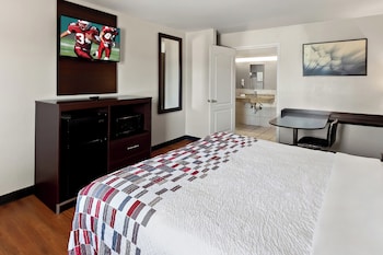 Superior Room, 1 King Bed, Accessible, Smoking (Roll-In Shower)