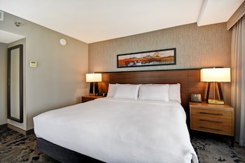 Room, 1 King Bed, Accessible, Non Smoking