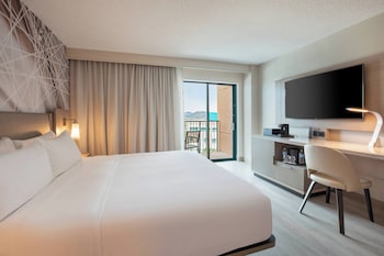Room, 1 King Bed with Sofa bed
