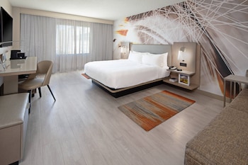 Room, 1 King Bed with Sofa bed