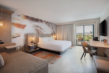 Room, 1 King Bed with Sofa bed