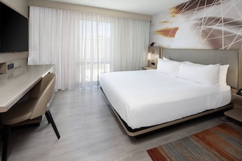 Room, 1 King Bed with Sofa bed