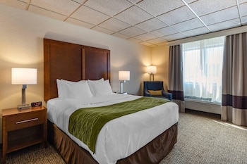 Room, 1 Queen Bed, Non Smoking