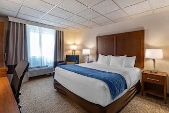 Room, 1 King Bed, Non Smoking