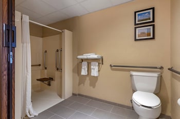 Standard Room, 1 Queen Bed, Accessible, Non Smoking (Roll-In Shower)