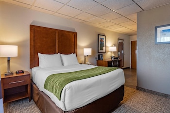 Standard Room, 1 Queen Bed, Accessible, Non Smoking (Roll-In Shower)