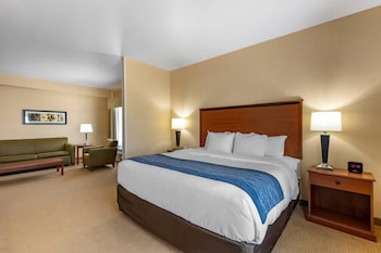 Deluxe Room, 1 King Bed with Sofa bed, Accessible, Non Smoking (Transfer Shower)