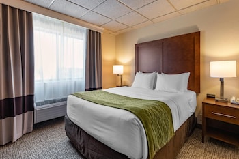 Standard Room, 1 Queen Bed, Accessible, Non Smoking (Roll-In Shower)