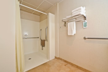 Standard Room, 1 Queen Bed, Accessible, Non Smoking (Roll-In Shower)
