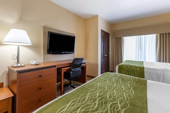 Deluxe Room, Multiple Beds, Accessible, Non Smoking (Transfer Shower)