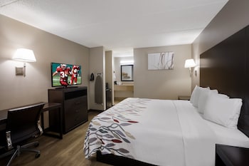 Deluxe Room, 1 King Bed, Non Smoking