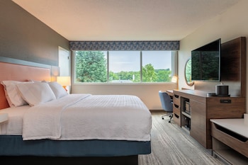 Room, 1 King Bed, Refrigerator