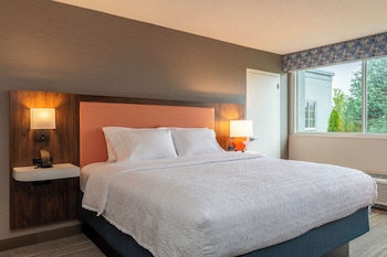 Room, 1 King Bed, Refrigerator