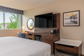 Room, 1 King Bed, Refrigerator