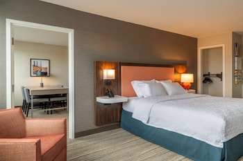 Suite, 1 King Bed, Accessible (Mobility & Hearing, Roll-in Shower)