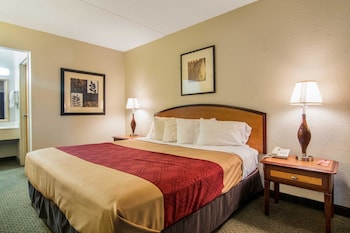 Standard Room, 1 King Bed, Non Smoking